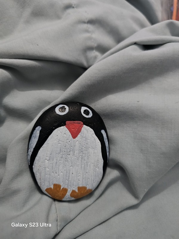 Painted Stone Art