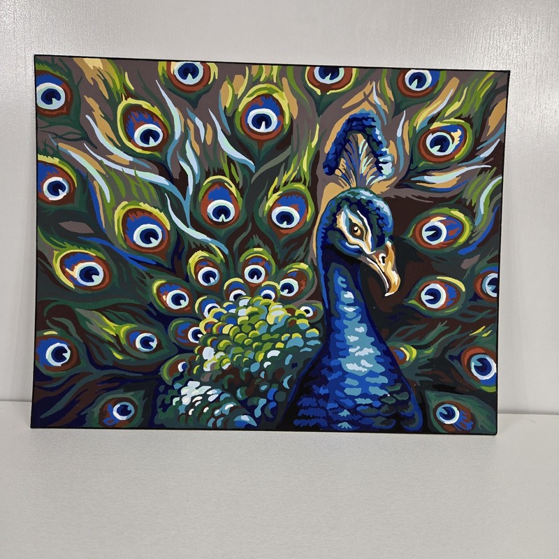 Wild Feathers Finished Acrylic Paint By Number 14×11 Whimsical Peacock Nature VT