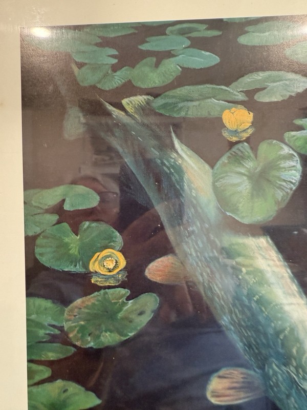 Vintage Bob Hines Fish Print Northern Pike Dragonfly Lily Pads 17" x 14" 1970s gallery