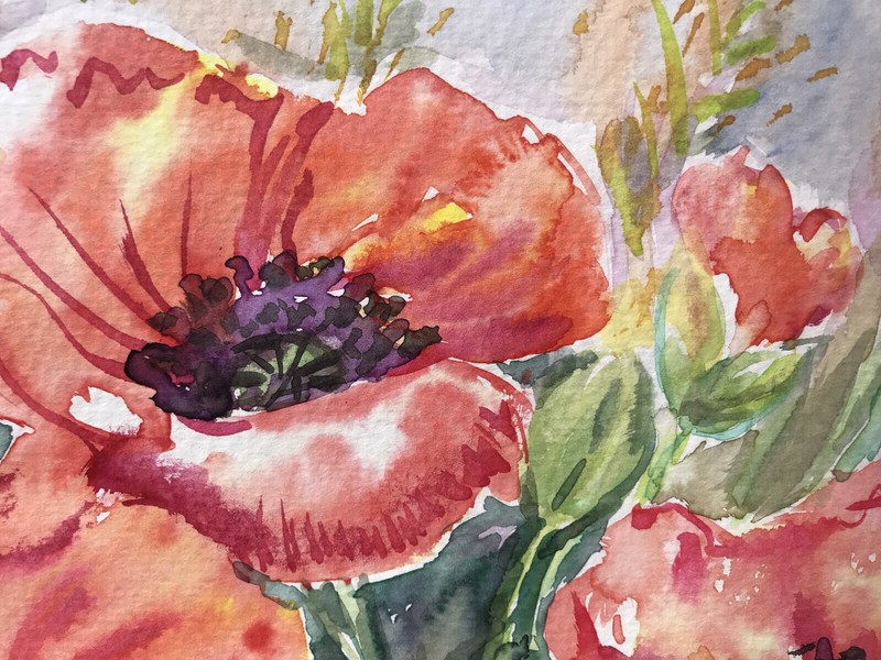 Orange Red Poppy Flowers Wall Art. Floral Watercolor Painting 9"x12" gallery