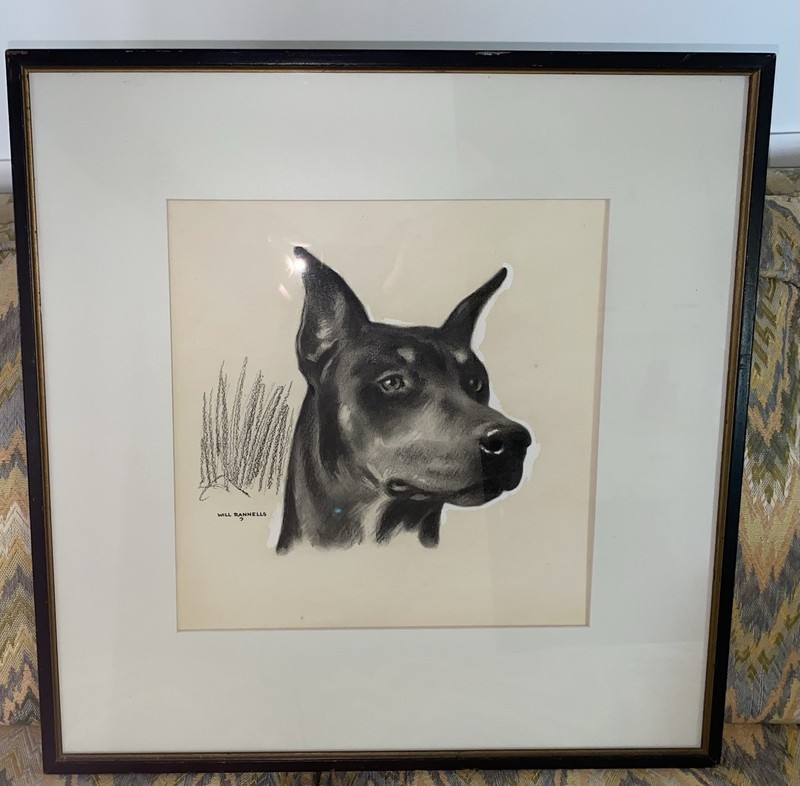 Original Dog Painting DOBERMAN PINSCHER Will Rannells (1892–1982) Illustration