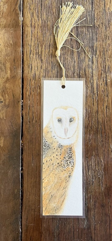 Bookmark laminated artwork With Tassel Whimsy Owl By Kenna 20cm X 6cm gallery