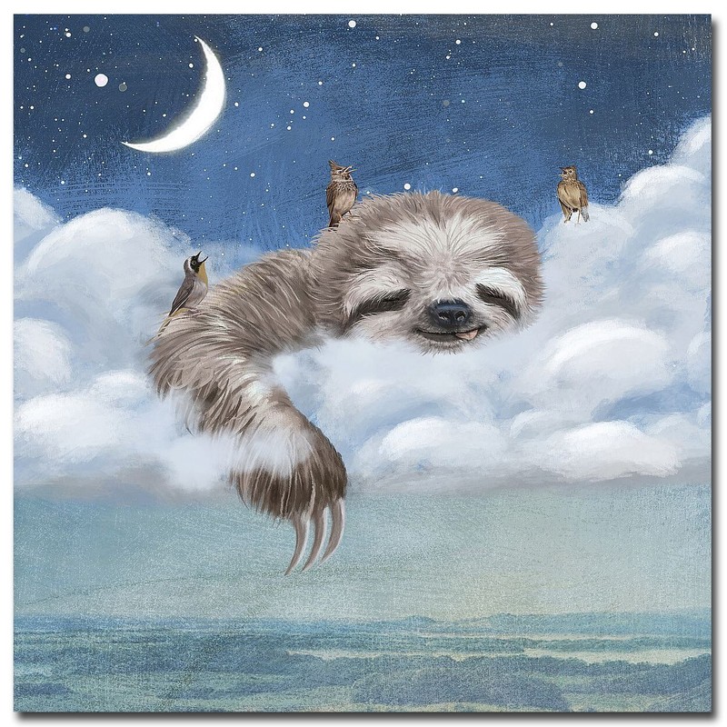A Sloth’s Dream by Paula Belle Flores Gallery Wrapped Canvas Art (14 in x 14 in)