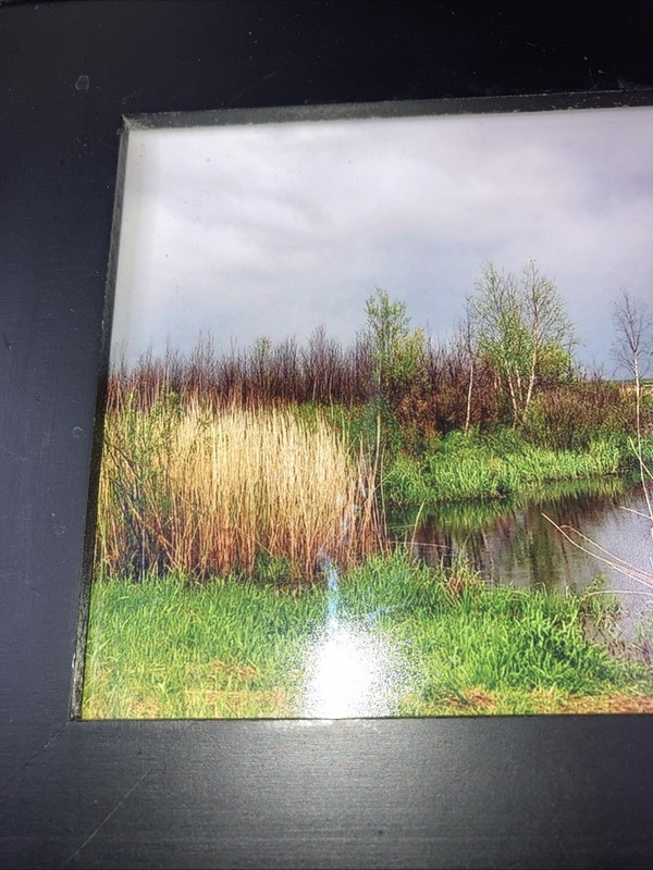 Framed Landscape Photo Of Marsh Stream Grasses Reeds Trees Green-Yellow-Blue Hue gallery
