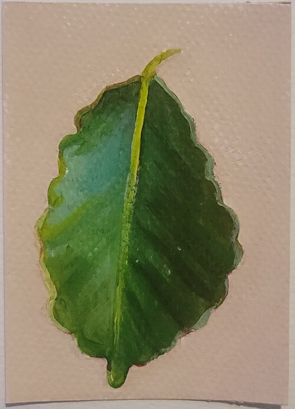 ACEO Original Abstract Chestnut Oak Tree Leaf Mini Art Painting Nature
