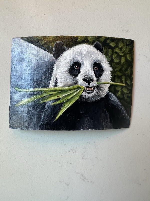 Hendrick Original Panda ACEO Acrylic Painting Panda Miniature OOAK Wildlife gallery