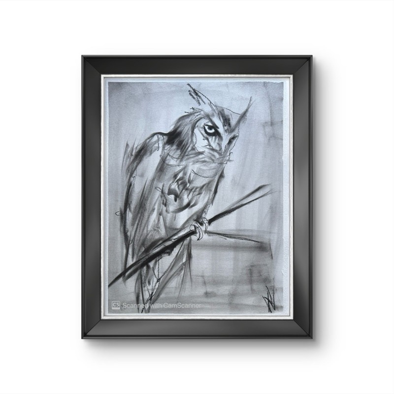 Dark Owl Sketch 11x14 Pastel on Paper Moody Bird Wildlife Art gallery