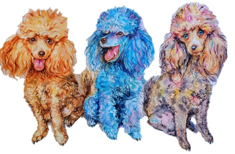 Original Three poodles dog art Signed Watercolor Painting,Pet lover gift 17×17″