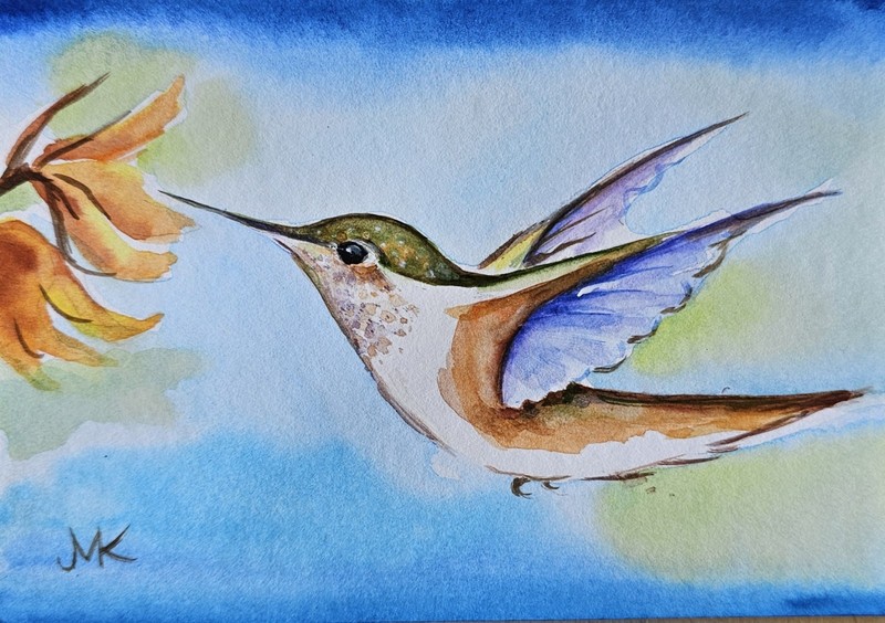 Humming BIRD with Flower ORIGINAL Watercolor Painting 4″x6 » signed