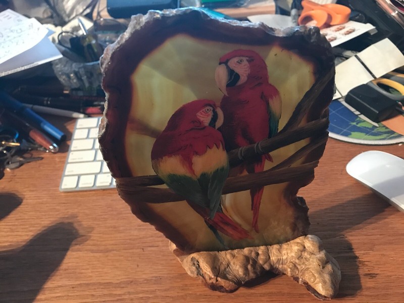 Parrots hand painted on polished slate with burl wood stand