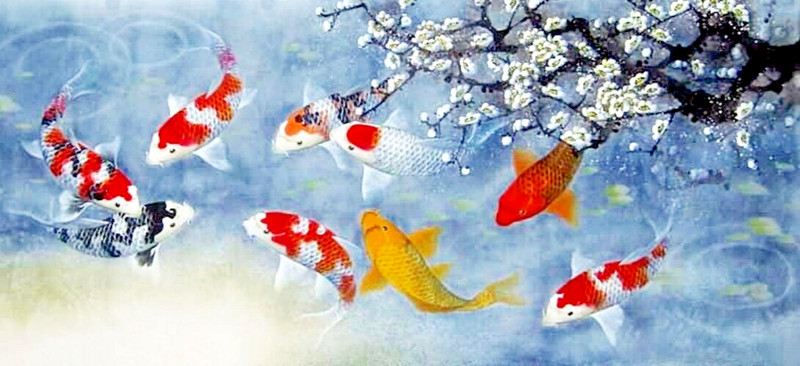 Lucky Koi Fish Painting – Best Feng Shui Koi Fish Painting