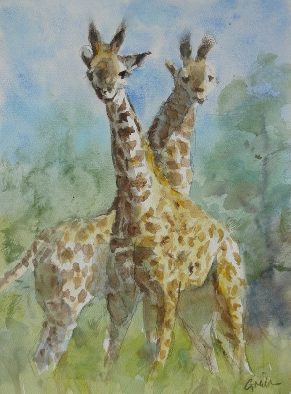 GERRY MILLER. Watercolour «Giraffes». No frame. 32x24cm.
