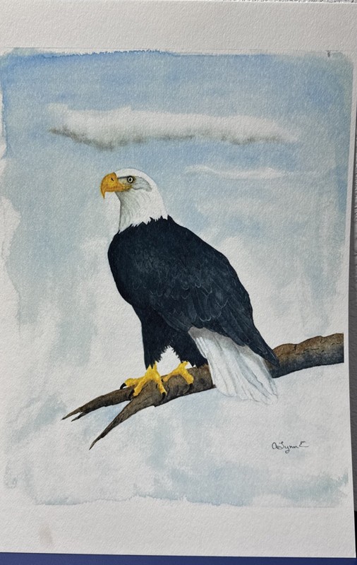 Original Watercolor Artwork Bald Eagle 18″x12″ Signed
