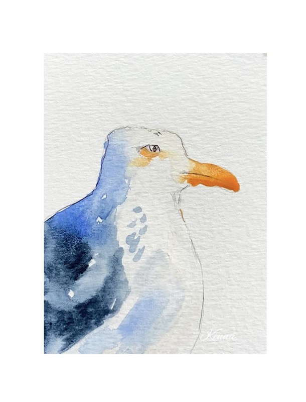 ACEO Art By Kenna 2.5”” X 3.5” Seagull Painting Signed Original ÀTC
