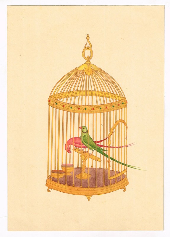 Birds Painting Of Beautiful Parrot in Cage Indian Vintage Art 6.5×9.5 Inches