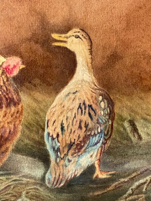 Early 20th - Realist Watercolor - Chickens and Ducks in a Farm gallery
