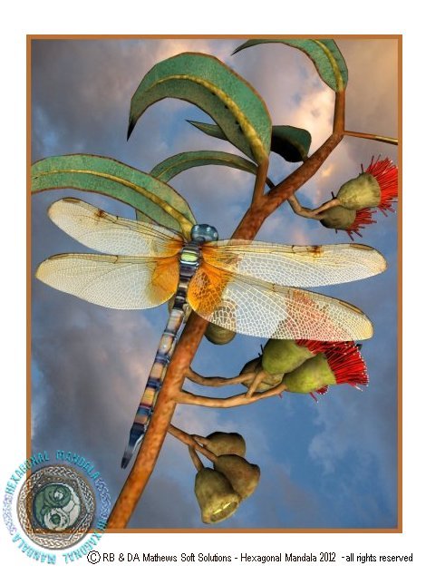 © ART – Dragonfly insect Bug Wings Gum Tree Nature Original Artist Print by Di