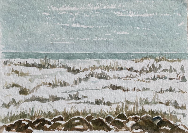 NATURALIST BALTIC SEA COAST SEA VIEW STONES DUNES SWEDEN WATERCOLOUR 24X17CM