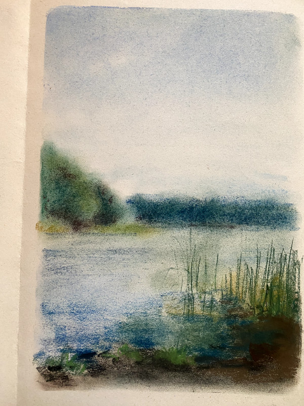 Franz Ehmke 1928 – 2018 Berlin Pastel View Of A Lake Reeds Forest
