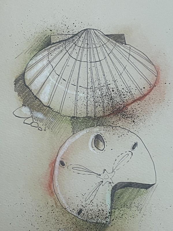 Jerry Seagle, Texas Artist (1941-2016) Watercolor Painting - Seashells gallery