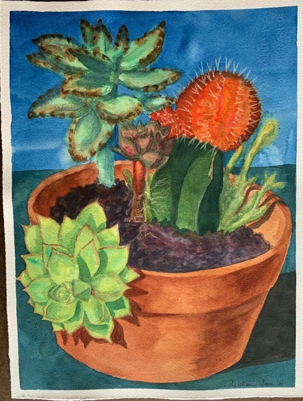 Original watercolor painting Cactus Succulents Pot plant Made to order wall art
