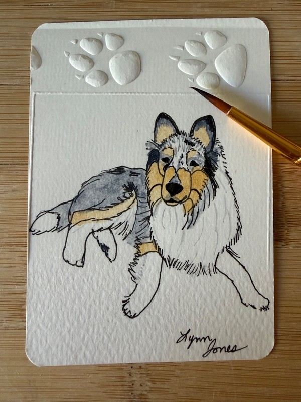 ACEO Original Blue Merle Collie Dog 2.5 x 3.5 inches gray white tan gallery