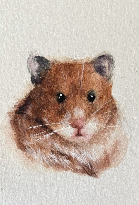 ACEO 100% Hand Painted Original Mixed Media Painting Art Hamster