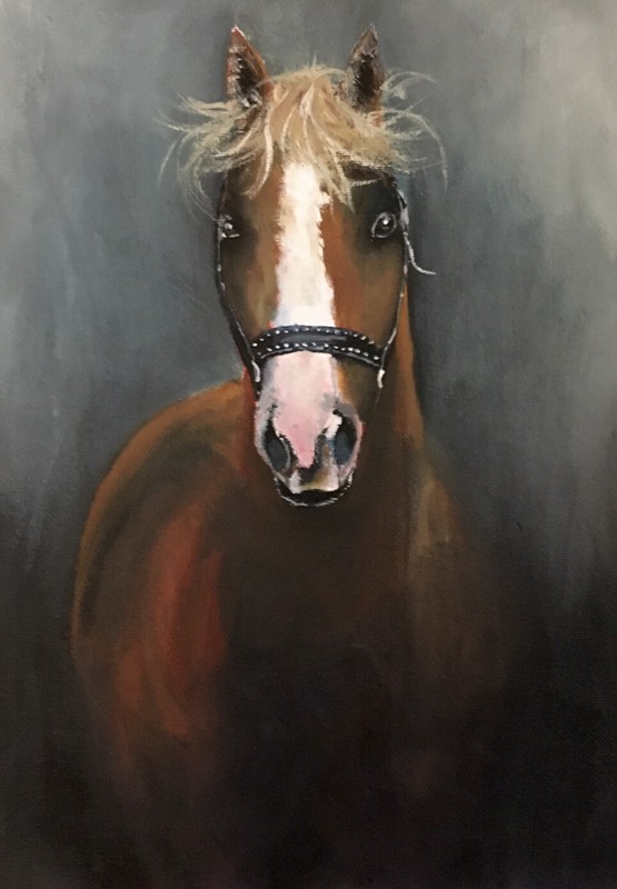 Original horse art signed,oil painting,equine,equestrian, art ,animal 20×30 Cm