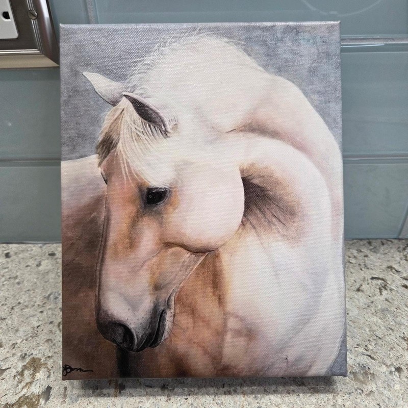 NEW The White Horse Gallery Wrap Equestrian Wall Decor 8×10 JDMUNSON