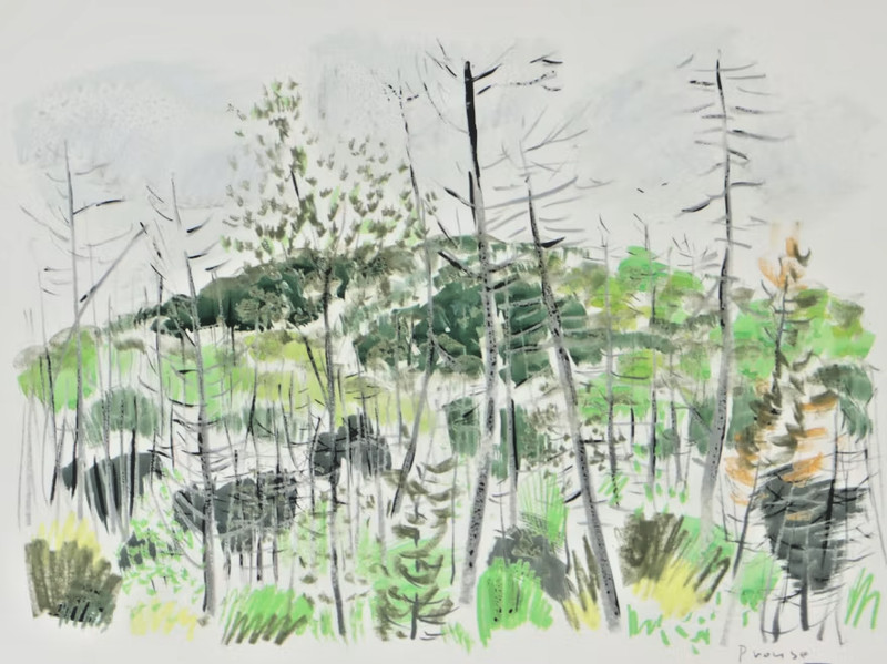 Original Framed ROD PROUSE Scenic Forest Landscape Acrylic & Pastel Signed gallery