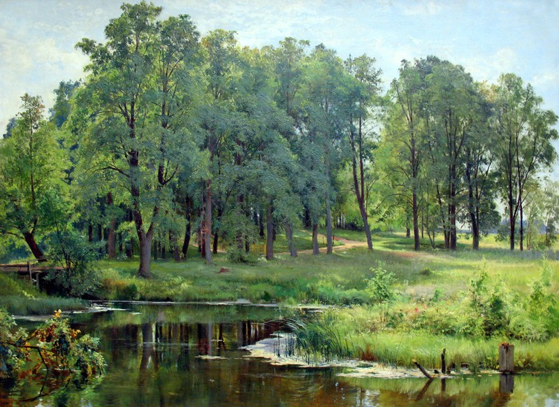 Canvas Print Oil painting Spring forest landscape printed on canvas L893