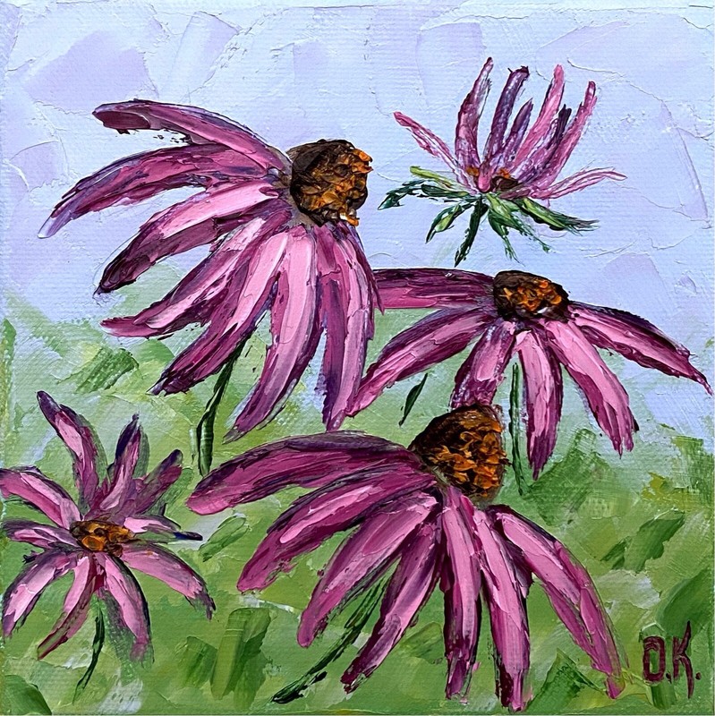 Original Coneflowers Oil Painting Meadow Impasto Pink Daisy Flowers Wall Art 6х6