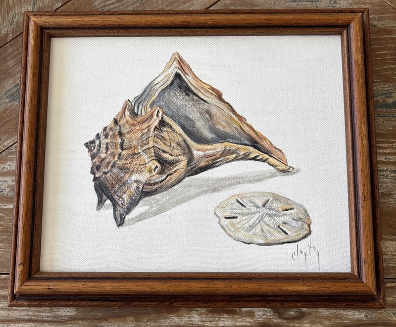 Vintage Seashell Sand dollar Painting Signed Clayton 10 X 12 X 1.75