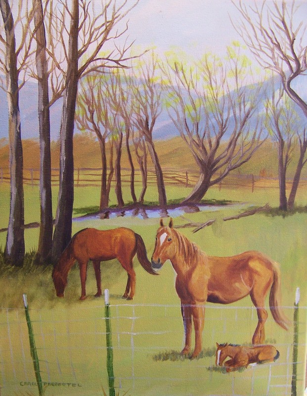 western horse colt spring original oil painting