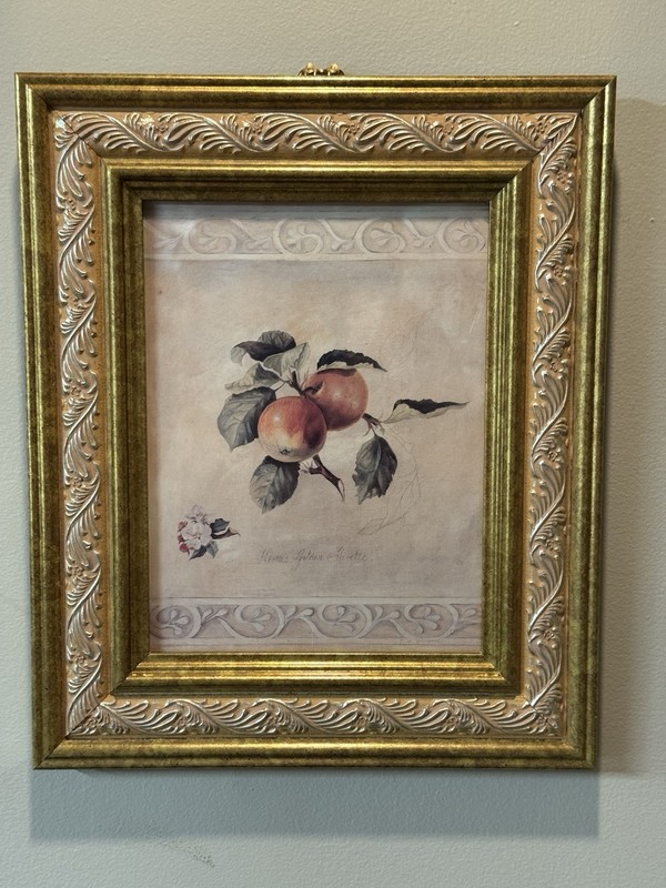 Signed by Fabrice de Villeneuve Prints w/Custom Wood Frame & glass-Lot of 3 gallery