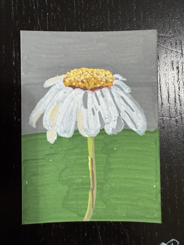 ACEO ATC Original Daisy Painting White Flower Floral Green Nature AnnieMakesArt