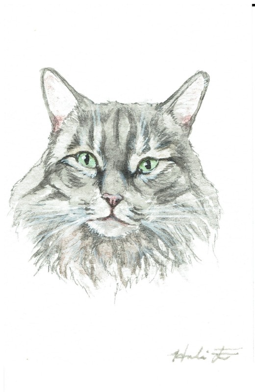 ACEO Original Watercolor Painting 2.5″ x 3.5″ Gray Maine Coon Kitty Pet Portrait