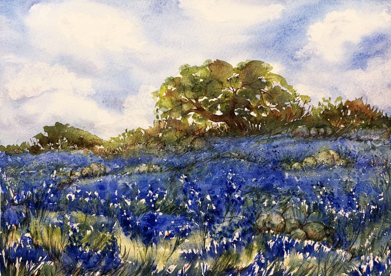 Original Watercolor Painting Texas Bluebonnets Landscape Wildflower Field Art