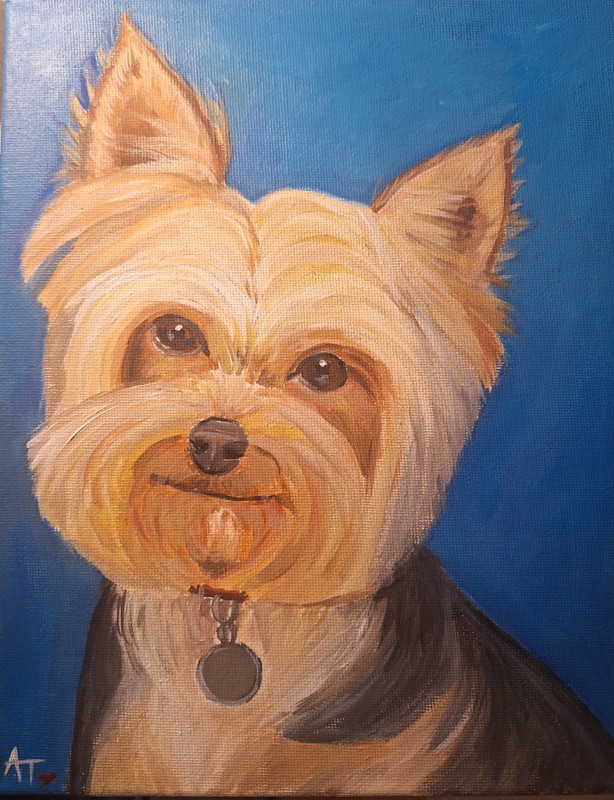 Yorkie Original Painting In Acrylic 8x10 Streched Canvas gallery