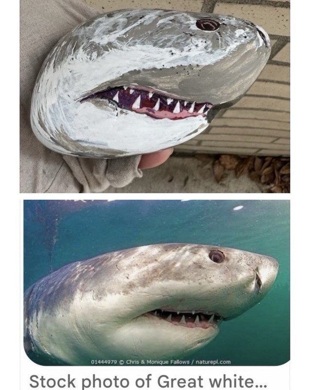 Shark W/natural Mouth Indentation Painted on a Rock! Approx 5 1/2“ X 4“ X 2“￼ gallery