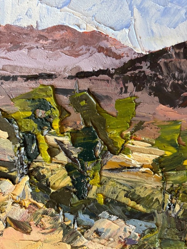 Joel Cooley’s “Green Desert” gallery