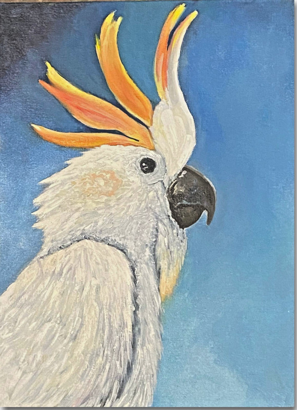 art 591 original painting 35×25 cm LM oil on canvas animal Cockatoo birds modern