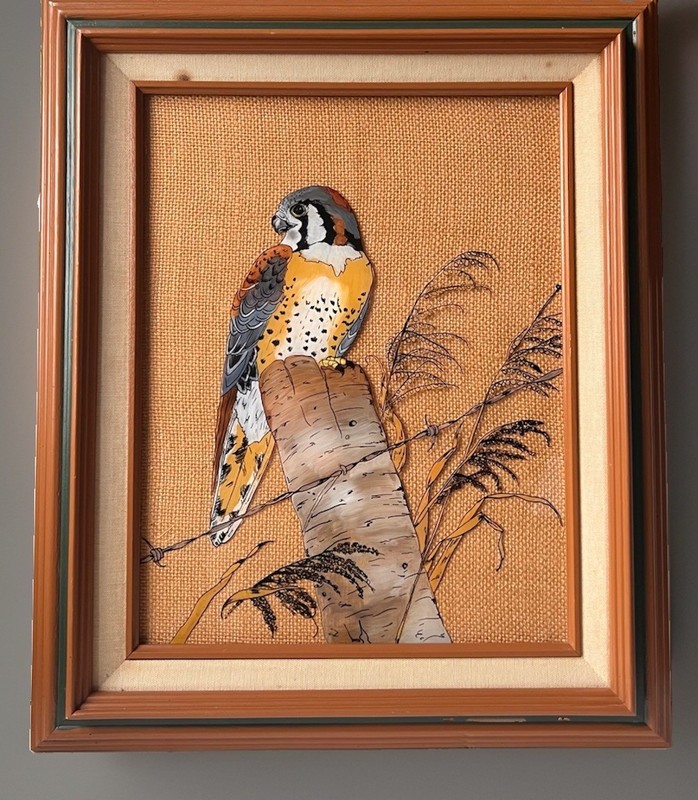 Margaret C Chase Reverse Painting Plexiglass American Kestrel Falcon Framed