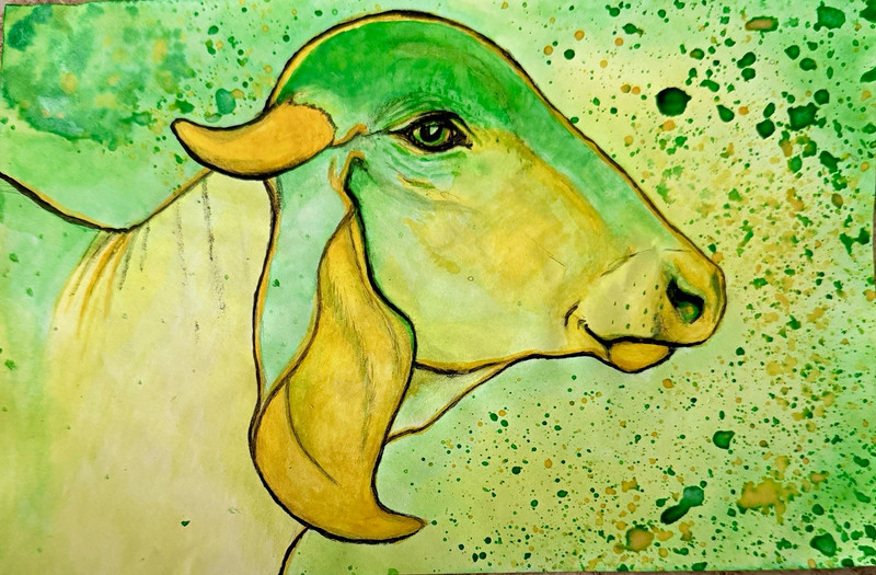 Gir Cow Portrait Painting, Farm Animal Art