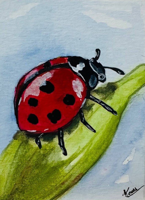 Original Watercolor Ladybug on Leaf Nature Inspired Red Insect ACEO Art OOAK