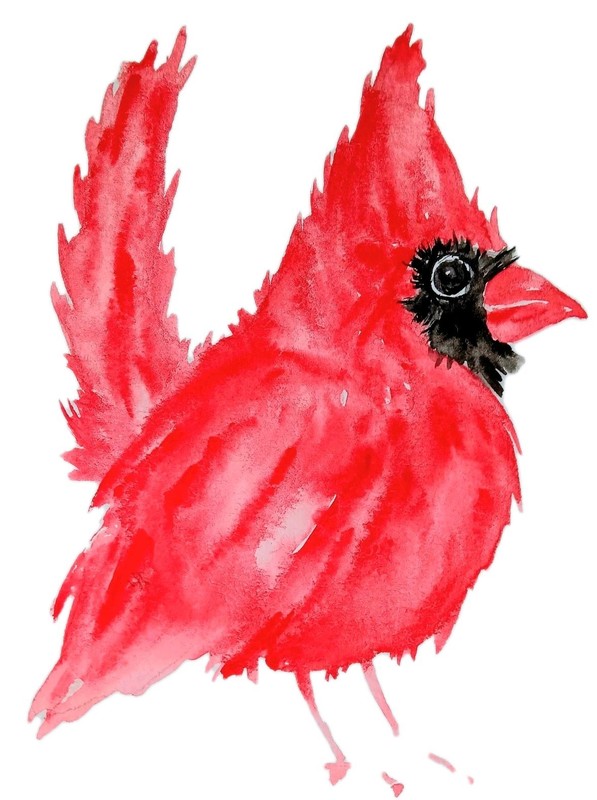 Bird art,original Watercolor painting red Christmas cardinal bird unique gift