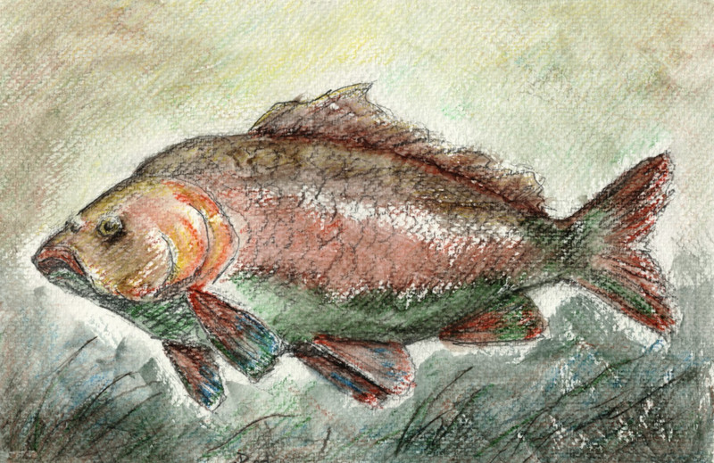 Modern Watercolor 7×10 in – Abstract Fish Wall Decor