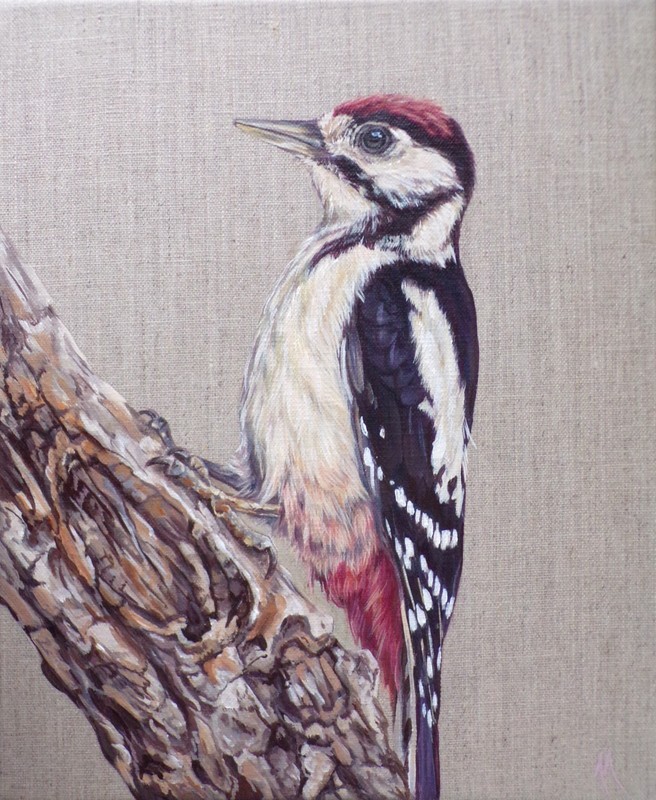 Woodpecker – Original Painting by Alison Armstrong- Wildlife / Bird Canvas