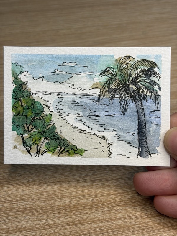 ACEO Original Watercolor And Ink Tropical Palm Ocean Beach By JMJager
