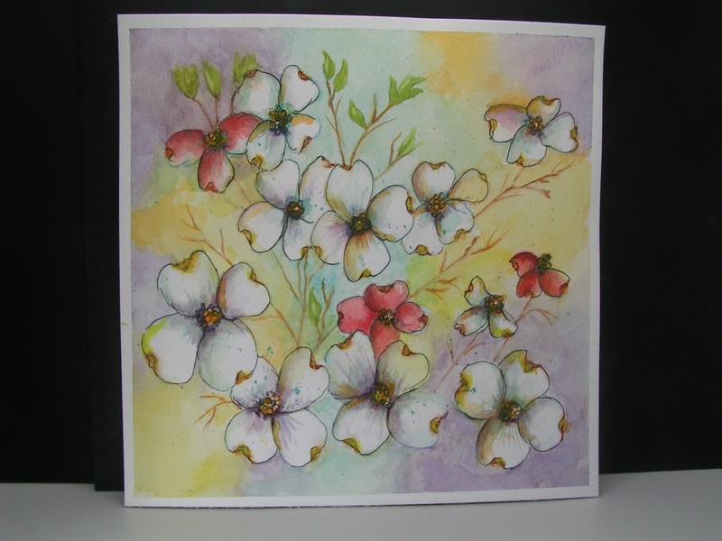 Dogwood White & Dark Pink Blossoms Original Watercolor and Ink Painting 7.5 » Sq